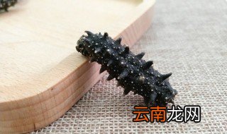 人参是酸性食物还是碱性食物 海参是碱性食物还是酸性食物