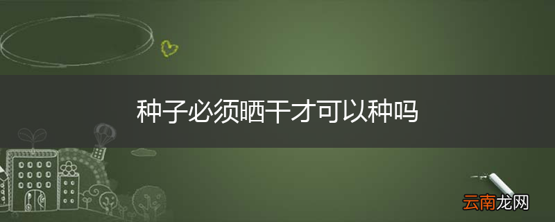 种子必须晒干才可以种吗