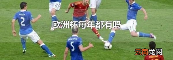 欧洲杯每年都有吗