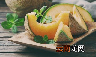 哈密瓜长在哪里的 哈密瓜长在哪里