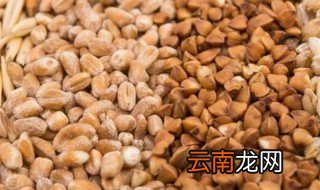 荞麦是酸性还是碱性食物 荞麦是酸性还是碱性食物有哪些