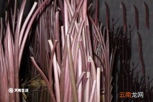 红芋梗的功效与作用 红芋梗有什么功效