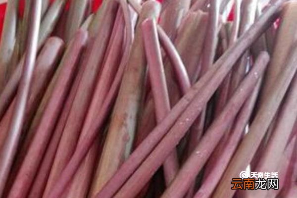 红芋梗的功效与作用 红芋梗有什么功效