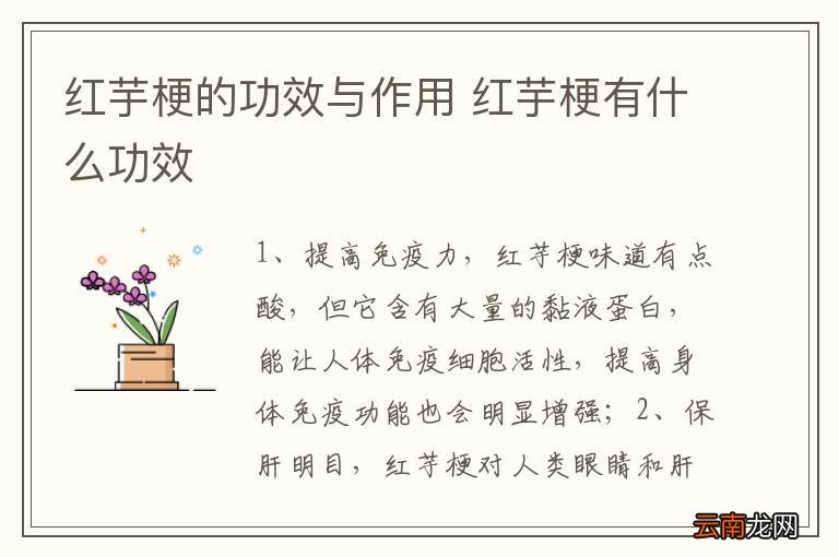 红芋梗的功效与作用 红芋梗有什么功效