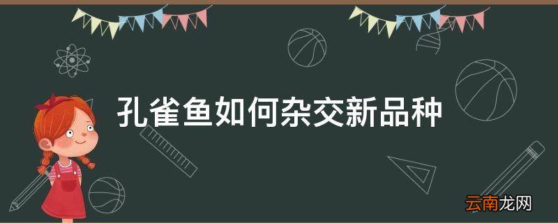 孔雀鱼如何杂交新品种