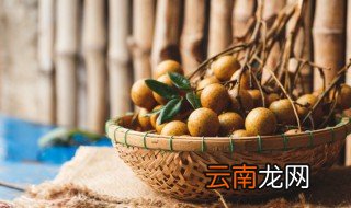 新鲜桂圆肉剥下来怎么保存，新鲜桂圆肉剥下来怎么保存不会坏