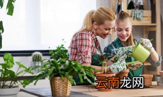 四大客厅盆栽风水禁忌 四大客厅盆栽风水禁忌介绍