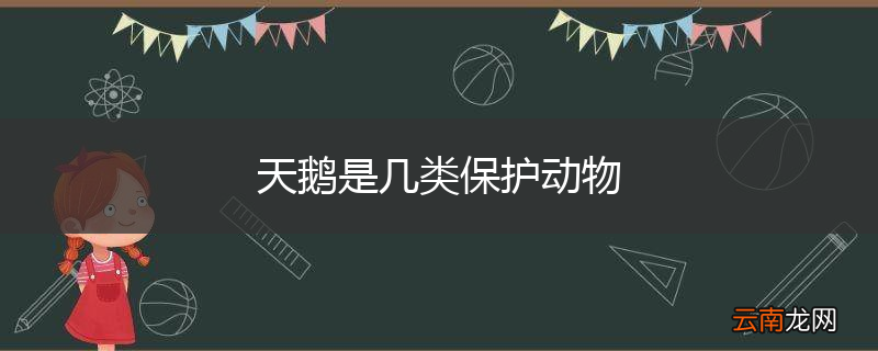 天鹅是几类保护动物