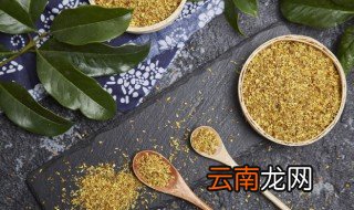 金桂花叶子发黄怎么办 才种的金桂树有点黄叶怎么办