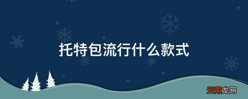 托特包流行什么款式
