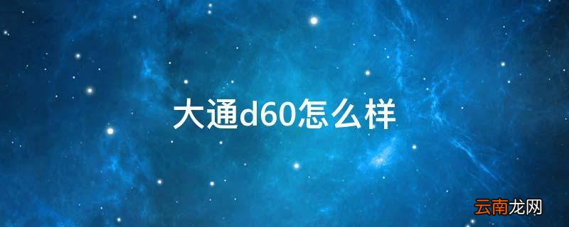 大通d60怎么样
