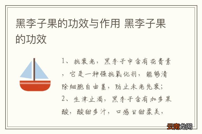 黑李子果的功效与作用 黑李子果的功效
