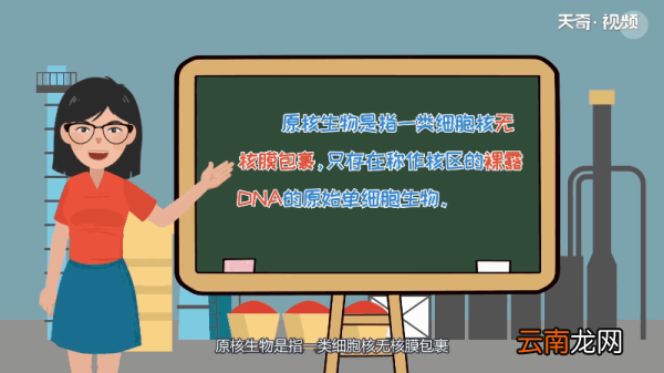 原核生物DNA在哪里 原核生物DNA