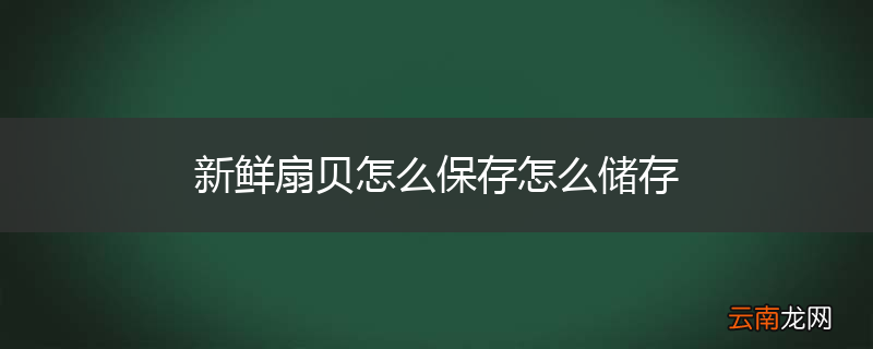 新鲜扇贝怎么保存怎么储存