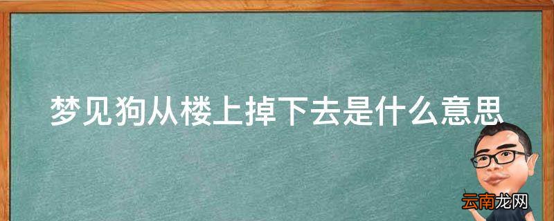 梦见狗从楼上掉下去是什么意思