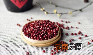 红豆生长在哪里?怎样用图画表达出来 红豆生长在哪里