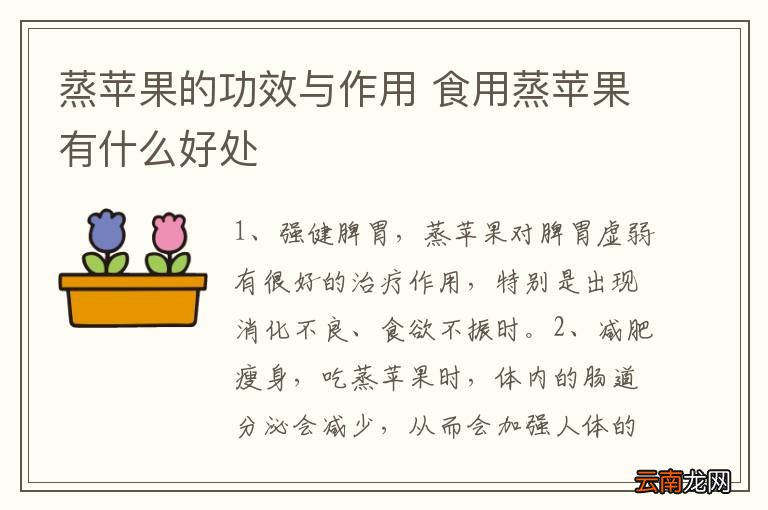 蒸苹果的功效与作用 食用蒸苹果有什么好处