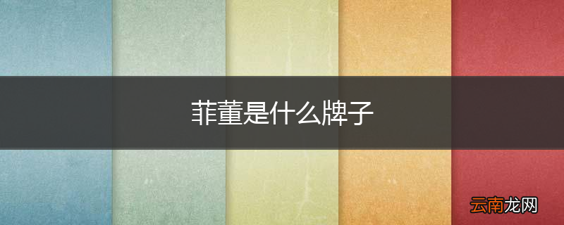 菲董是什么牌子