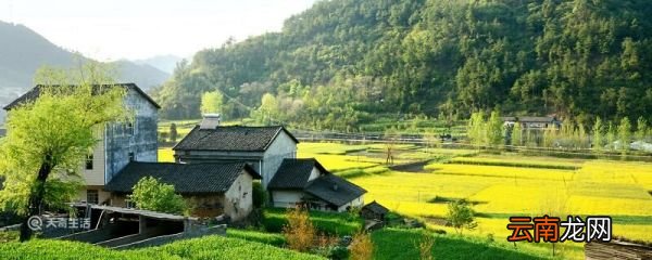 乡村振兴宣传标语 有哪些农村宣传语