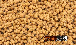 鱼食怎么做 鱼食做法步骤