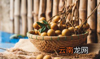 桂圆长在哪里 桂圆长在哪里的