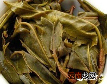 懂茶不靠装出来！储干货，轻松辨别茶的品级高与低