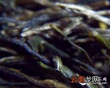 懂茶不靠装出来！储干货，轻松辨别茶的品级高与低
