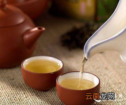懂茶不靠装出来！储干货，轻松辨别茶的品级高与低