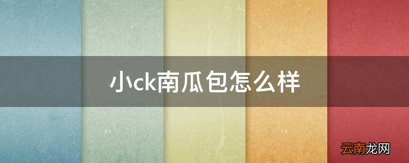 小ck南瓜包怎么样