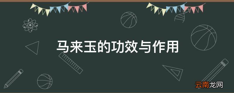 马来玉的功效与作用