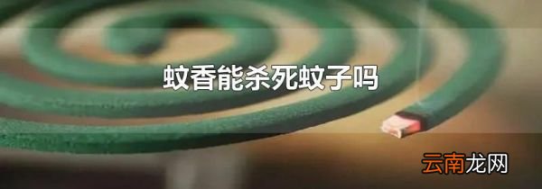 蚊香能杀死蚊子吗