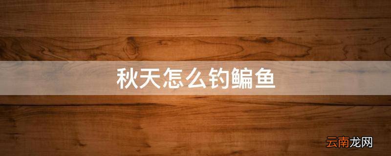 秋天怎么钓鳊鱼