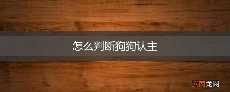 怎么判断狗狗认主