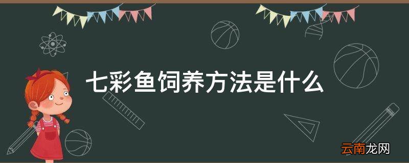 七彩鱼饲养方法是什么