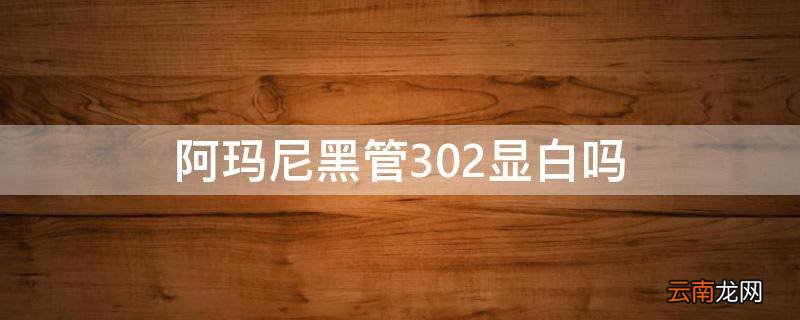 阿玛尼黑管302显白吗