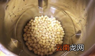 榨豆浆的做法 榨豆浆的制作方法