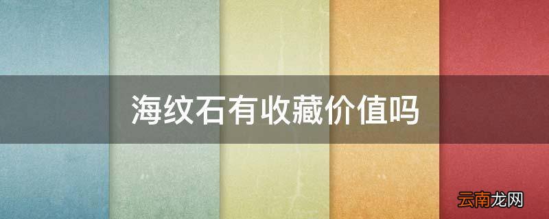 海纹石有收藏价值吗