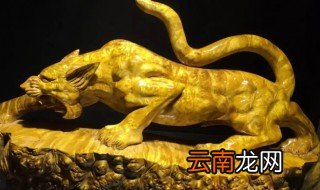 金钱豹的摆放与风水说法 金钱豹放哪里最旺财