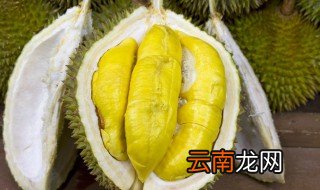 榴莲什么时候成熟季节，榴莲成熟季节是几月份儿?