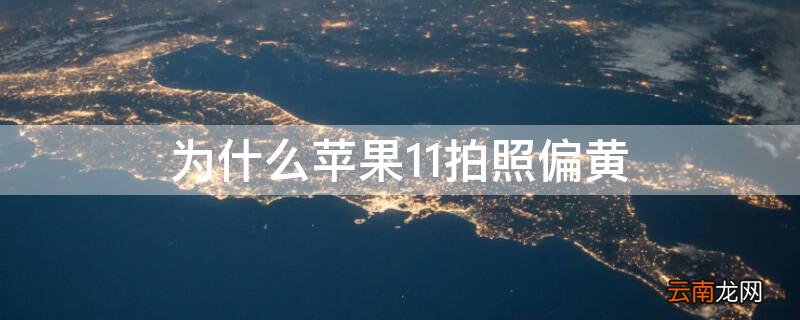 苹果11拍照为啥偏黄 为什么iPhone11拍照偏黄
