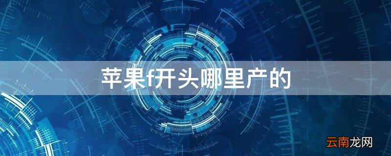 iphonef开头是哪里生产的 iPhonef开头哪里产的