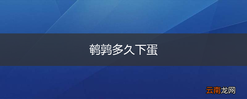 鹌鹑多久下蛋
