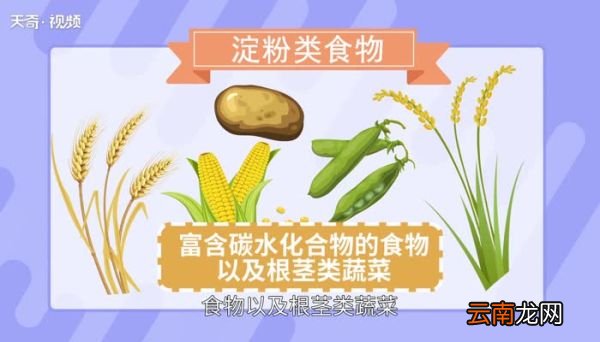 淀粉类食物 减肥能吃淀粉类食物吗