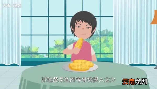 淀粉类食物 减肥能吃淀粉类食物吗
