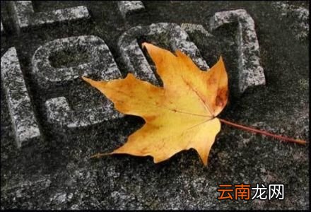 2 小孩拉肚子怎么办