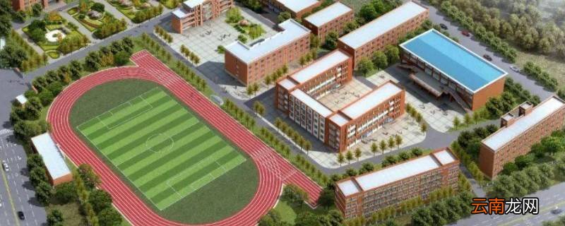 邳州市新世纪学校升学率