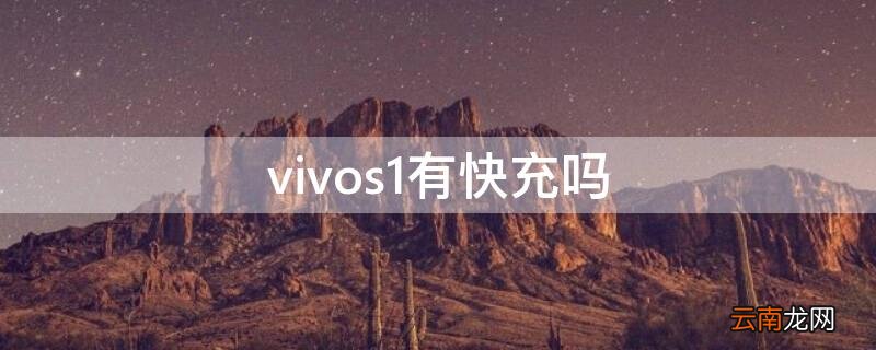 vivos1有快充吗