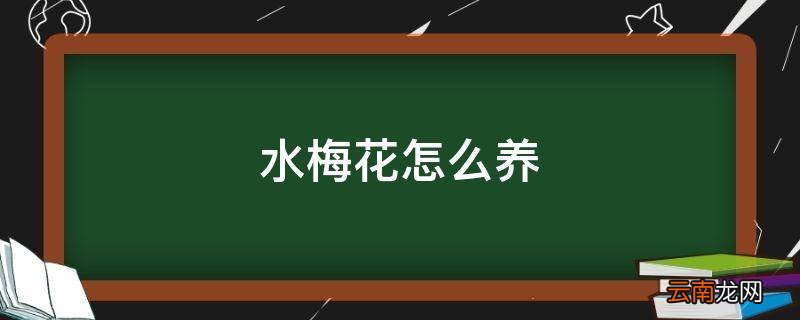 水梅花怎么养