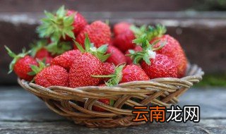草莓成熟的季节是什么季节? 草莓是什么时候季节成熟的
