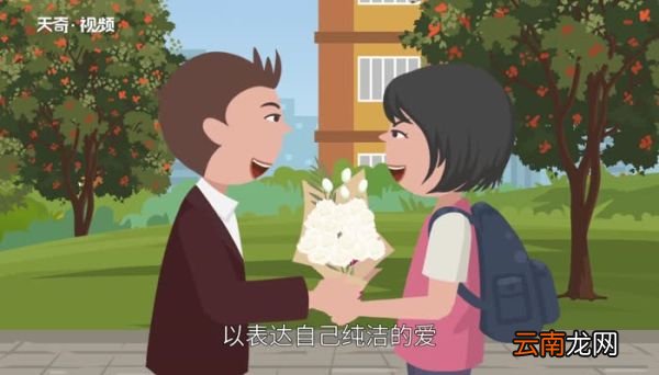 白玫瑰的花语白玫瑰多少朵代表什么意思